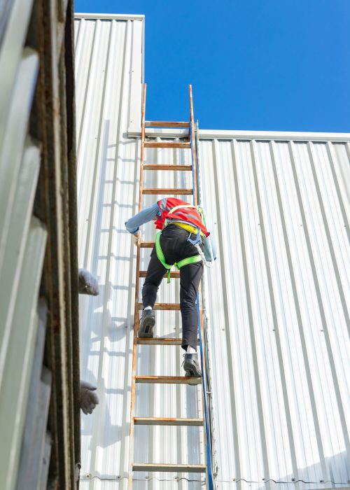 Tile_Roof-7