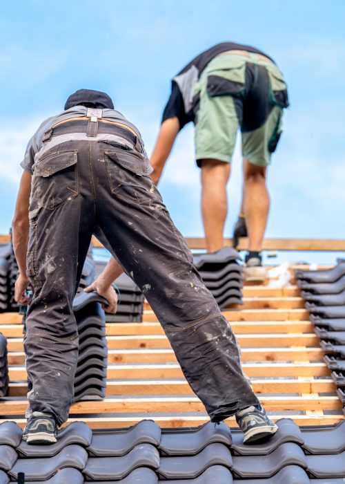craftsmen build a new roof from ceramic tiles on wooden beams.